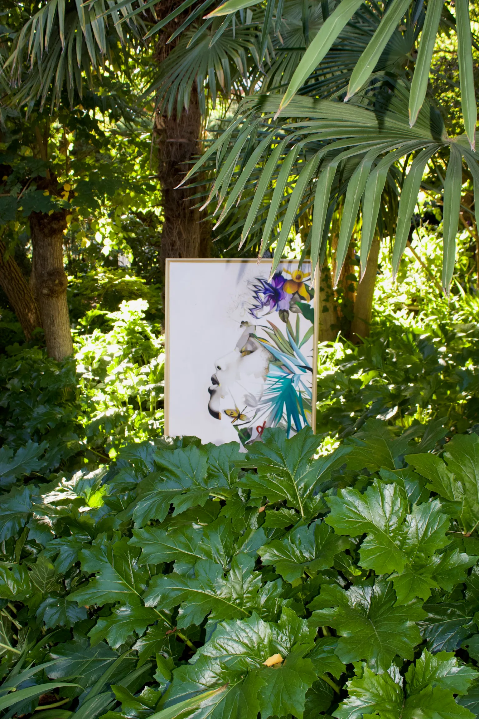 Flora